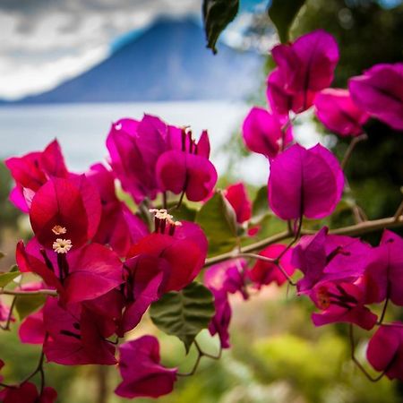 Casa Wenche Villa Santa Cruz La Laguna Dış mekan fotoğraf